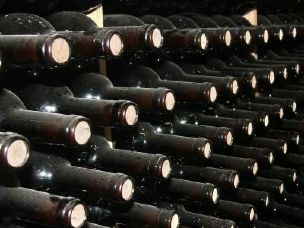 Rare Wine Invest lægger investeringsvine for en halv milliard på lager