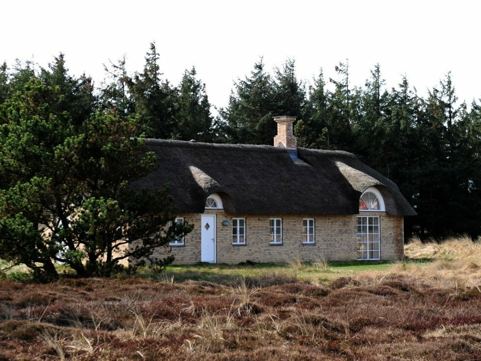 Ny undersøgelse: Så mange vil købe sommerhus i landdistrikterne